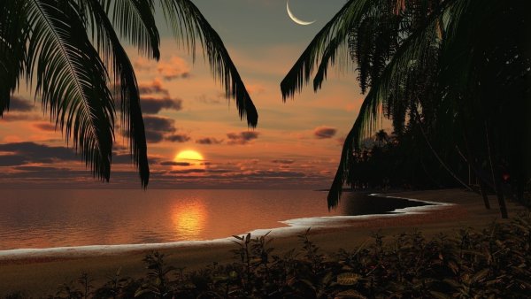 Море пляж пальмы вечер