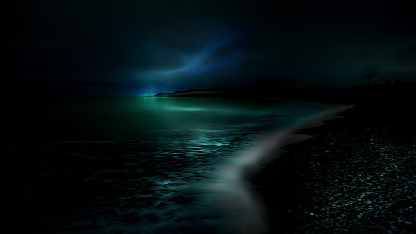 Море в темноте