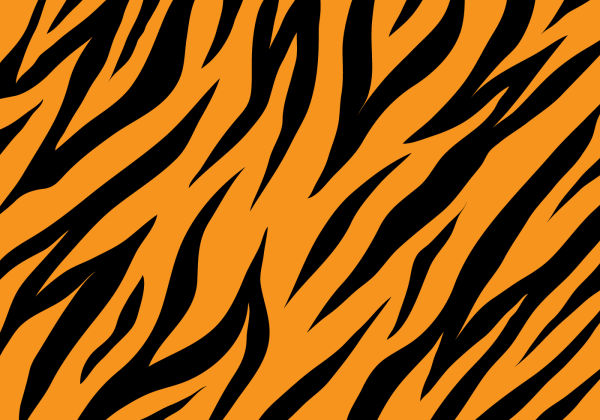 Тигриный узор