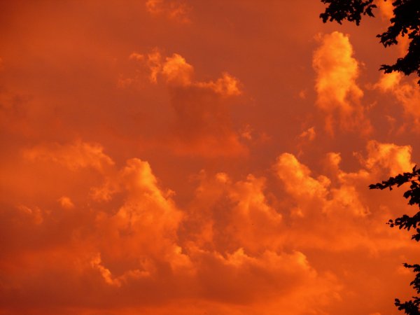 Оранжевое небо