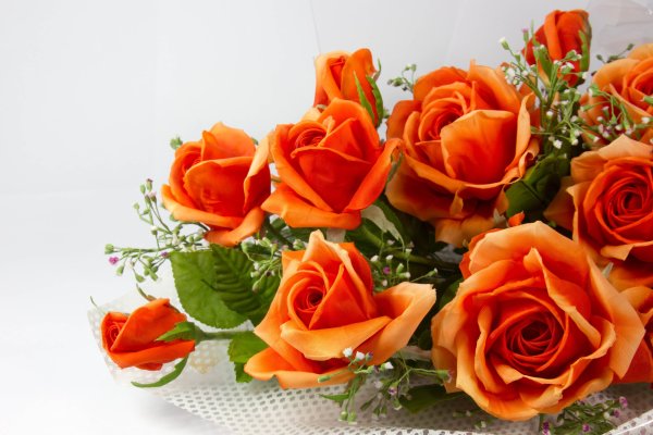 Шикарные оранжевые розы