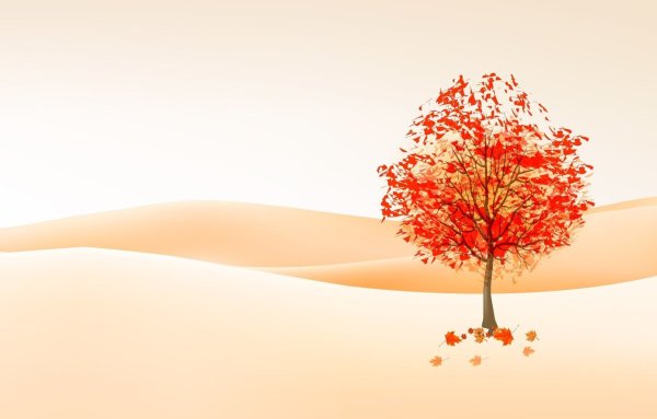 Дерево на оранжевом фоне