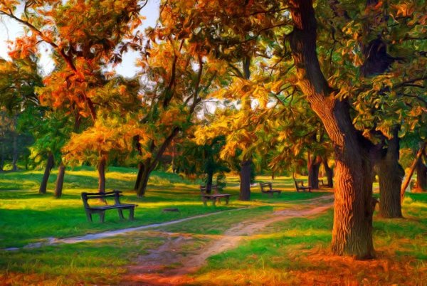 Осень в парке