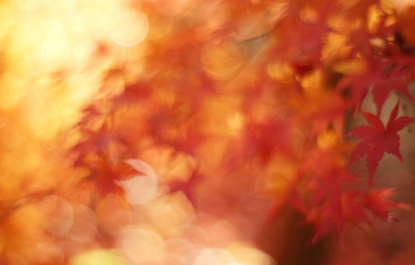 Осенний фон размытый