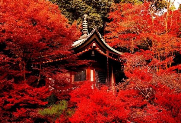 Храм Дайго в Киото