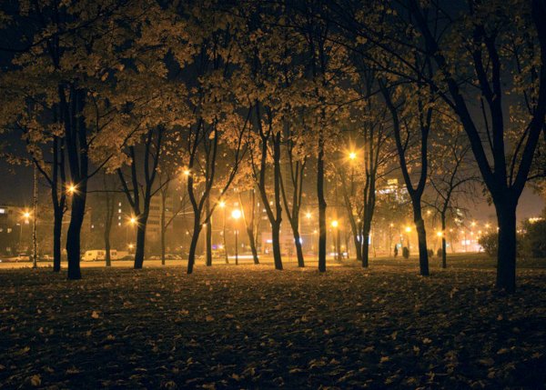 Осень вечер город