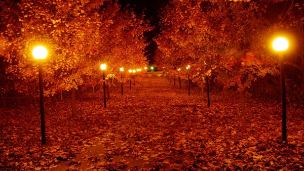 Осень вечер парк