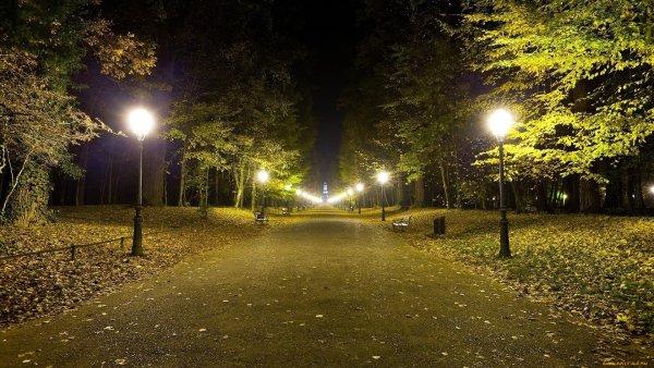 Полюстровский парк ночью