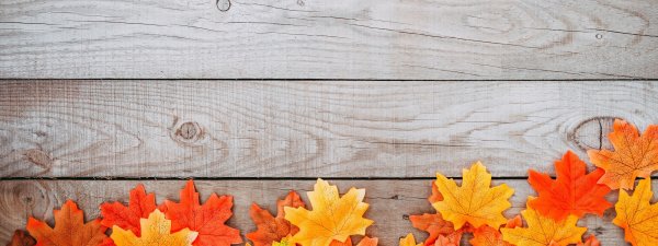 Осенний деревянный фон