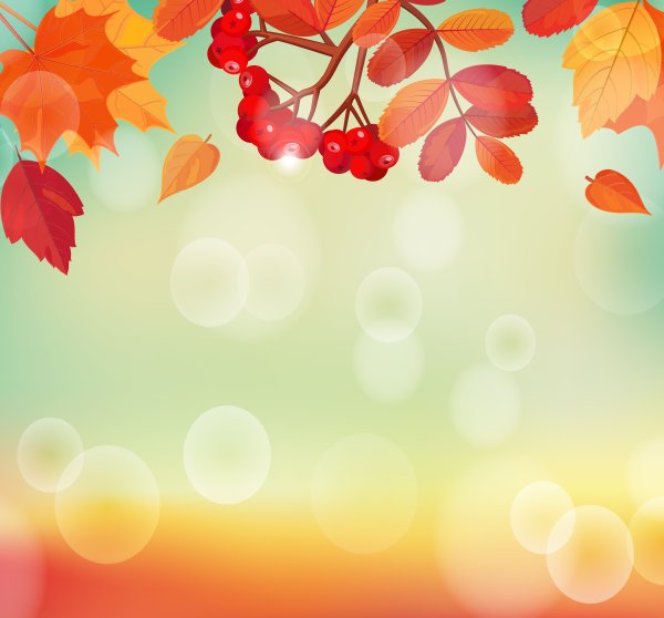 Осенний фон с рябиной