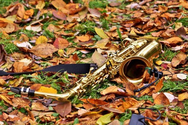 Осенний блюз саксофон