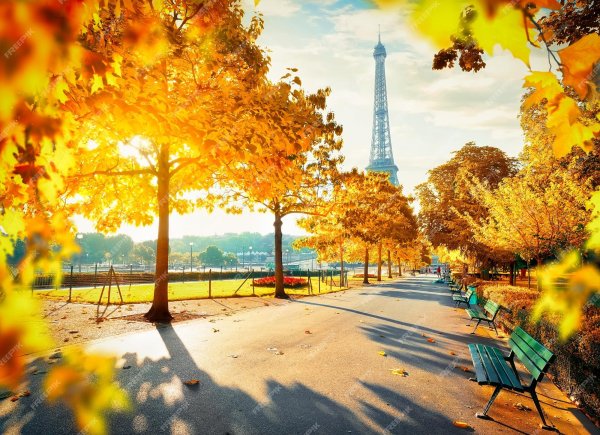 Париж лавочка осень Эйфелева башня