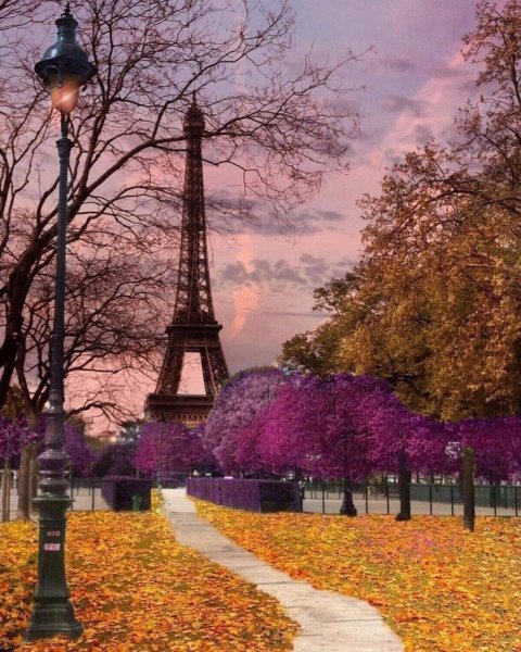 Париж улица Эйфелева башня