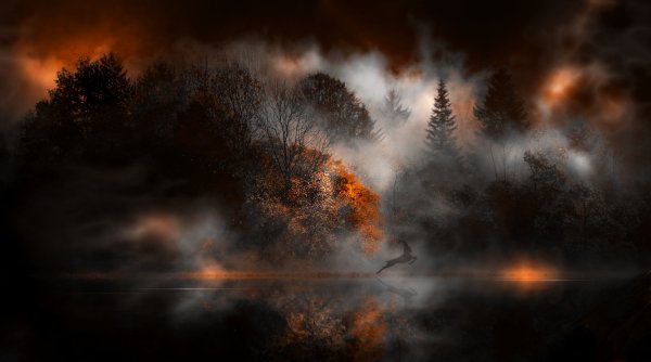 Огни в тумане