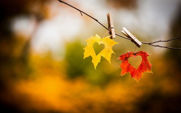 Красивые картинки про осень и любовь