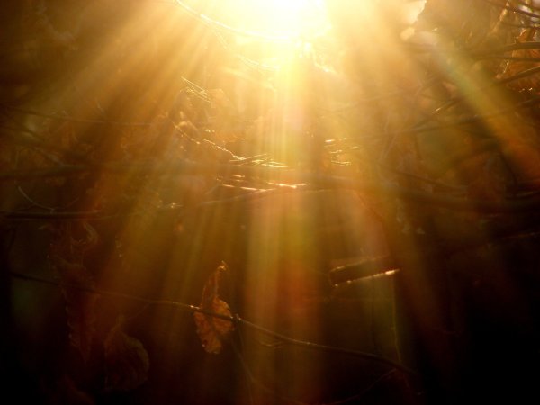 Фон отражение солнца