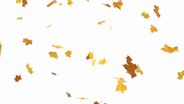 Фон падающие осенние листья