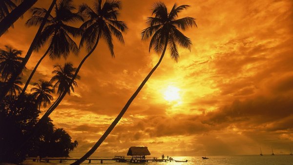 Закат остров пальмы