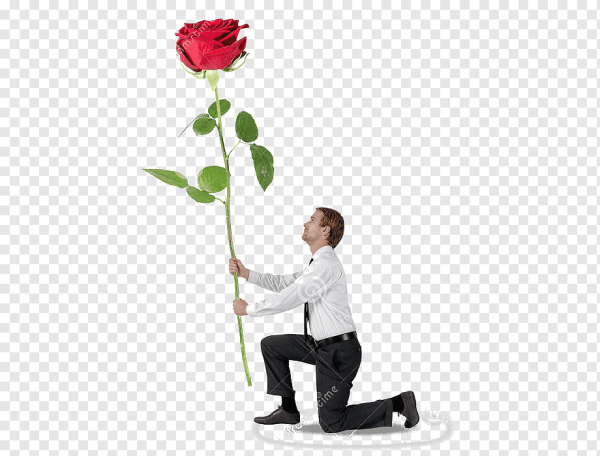 Мужчина на коленях дарит цветы