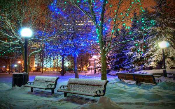 Фон парк ночью зимой