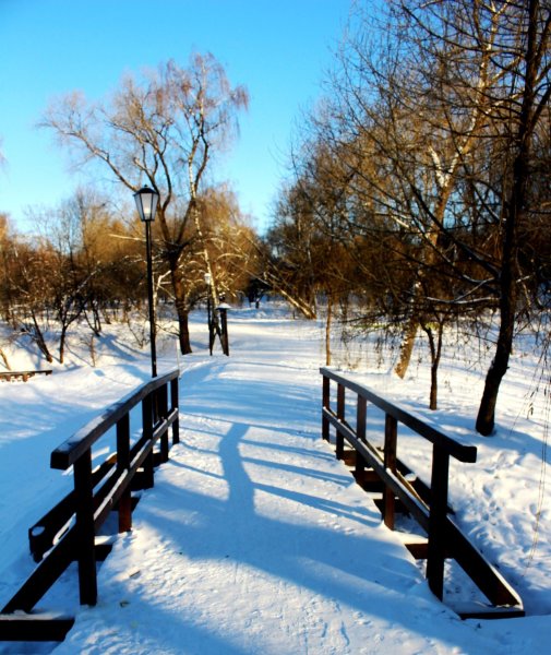 Бибирево парк зима