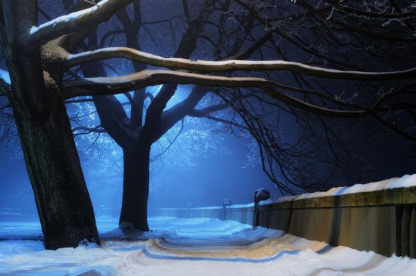 Зимний парк ночью