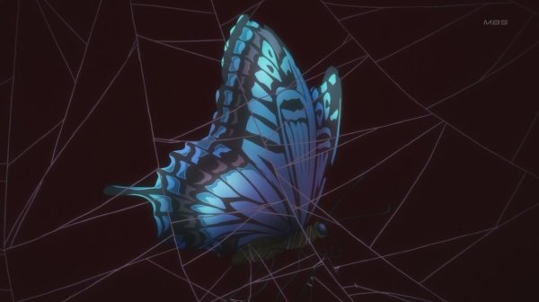Бабочка в паутине арт