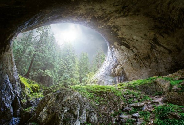 Лесная пещера