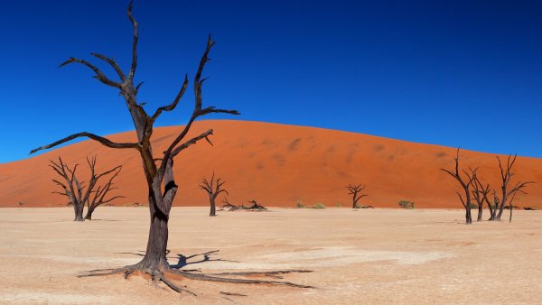 Полупустыня Намиб