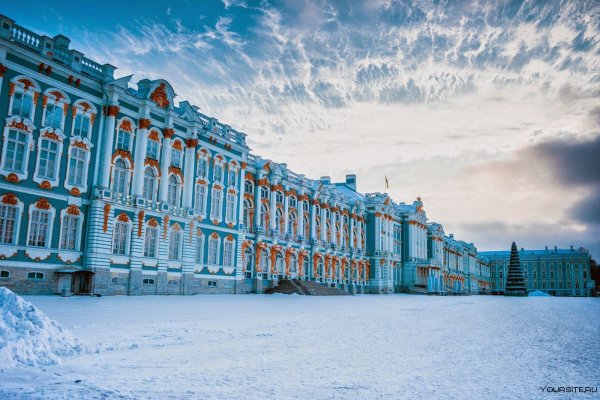 Екатерининский дворец в Царском селе Санкт-Петербург зимой