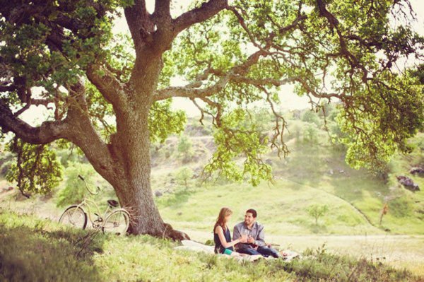 Фон пикник под деревом