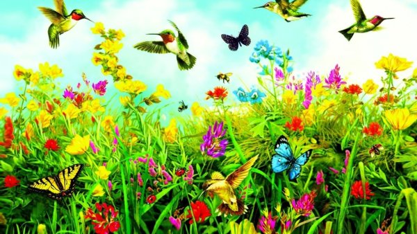Лужайка с бабочками