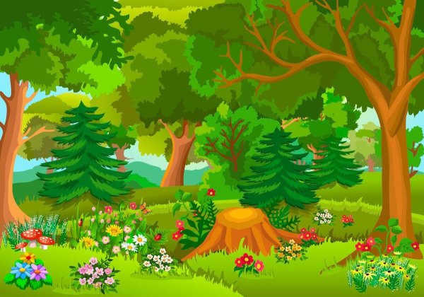 Лес для детей дошкольного возраста