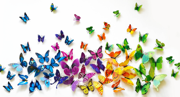 Много бабочек