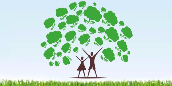 Экология зеленое дерево