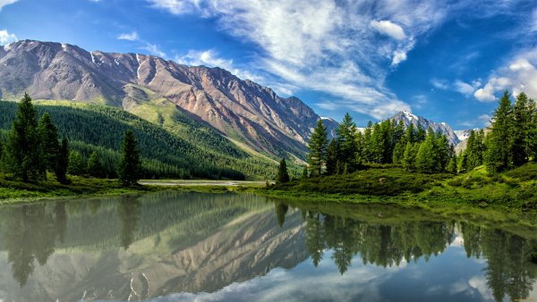 Лес и озеро горы Алтай