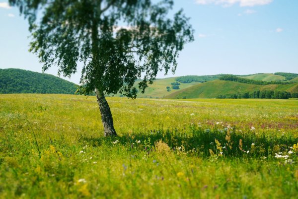 Природа Башкортостана летом