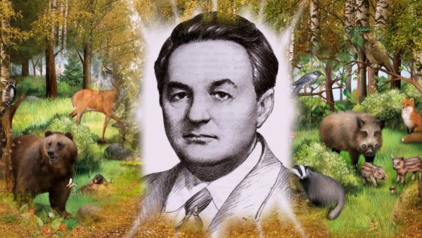 Николай Сладков портрет