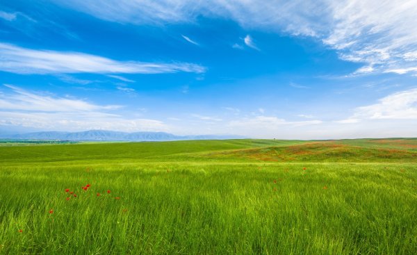 Казахстан природа степи