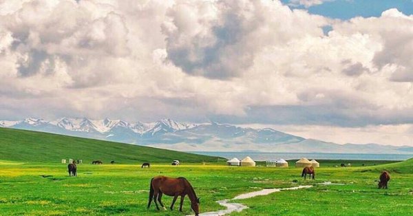 Казахские Юрты на Джайляу