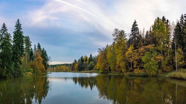 Подмосковье осень на озере