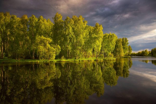 Лето лес Подмосковье река Нерская