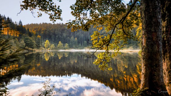 Природа озеро лес Карелия