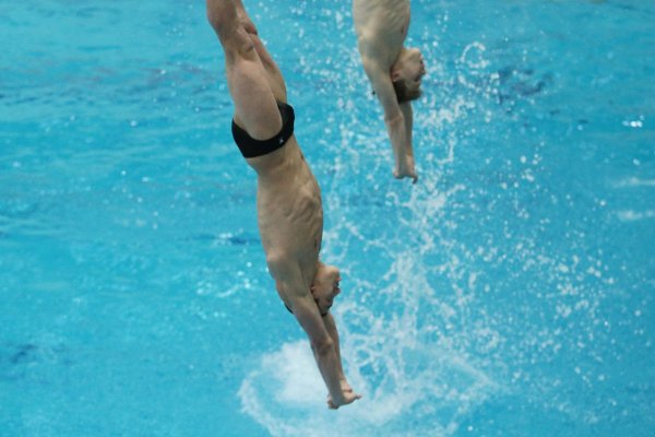 Пловец прыгает в воду