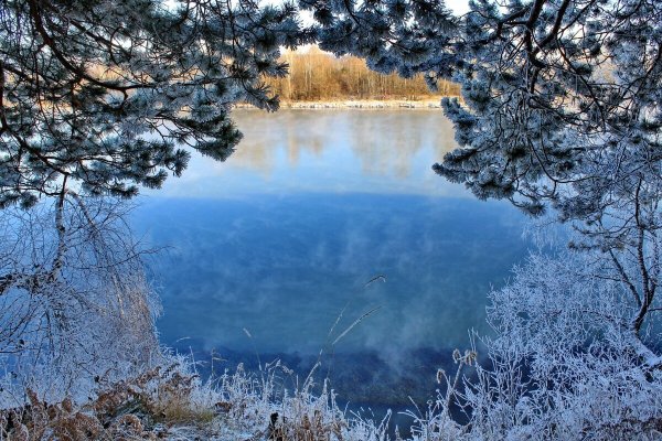 Зимнее озеро в лесу