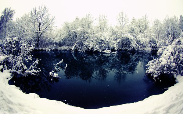 Красивые пруды зимой