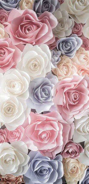 Розы пастельного цвета