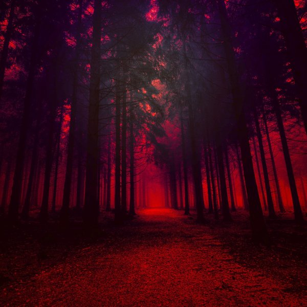 Фон пурпурный лес