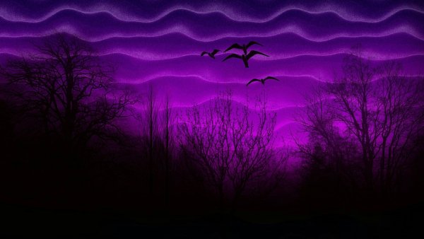 Фиолетовый лес