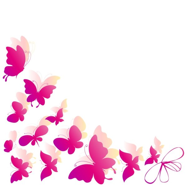 Цветы и бабочки на прозрачном фоне